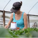 Il 29% delle imprese femminili è nell'agroalimentare