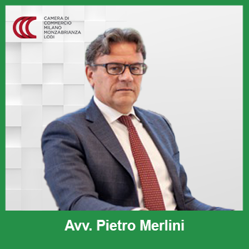 avv Pietro Merlini