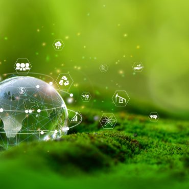 ESG e sostenibilità: una leva per la tua impresa